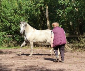 Sabine und ihr Hengst Kiro