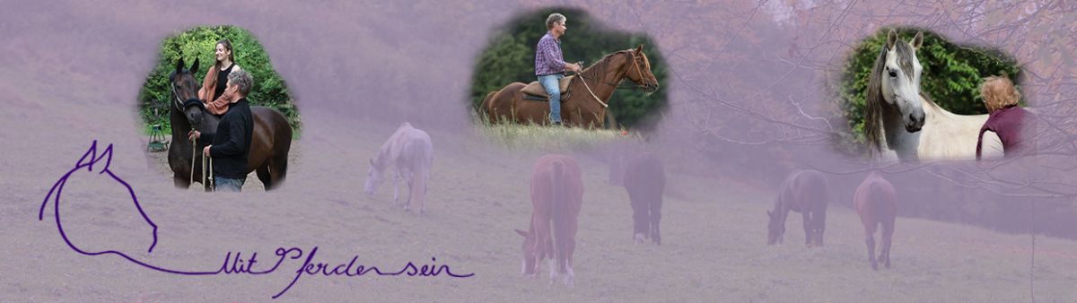 Mit Pferden sein…